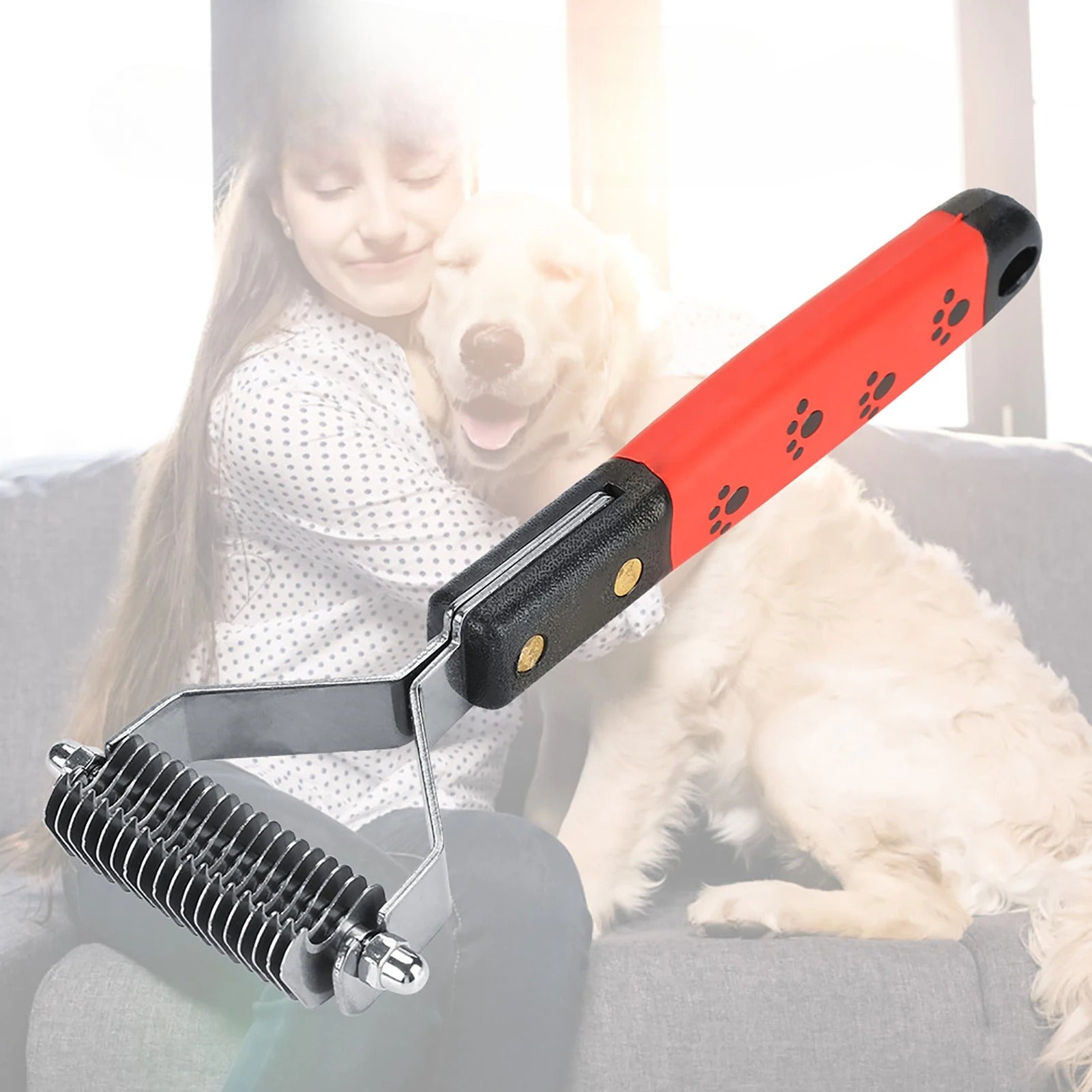 Brosse pour chien