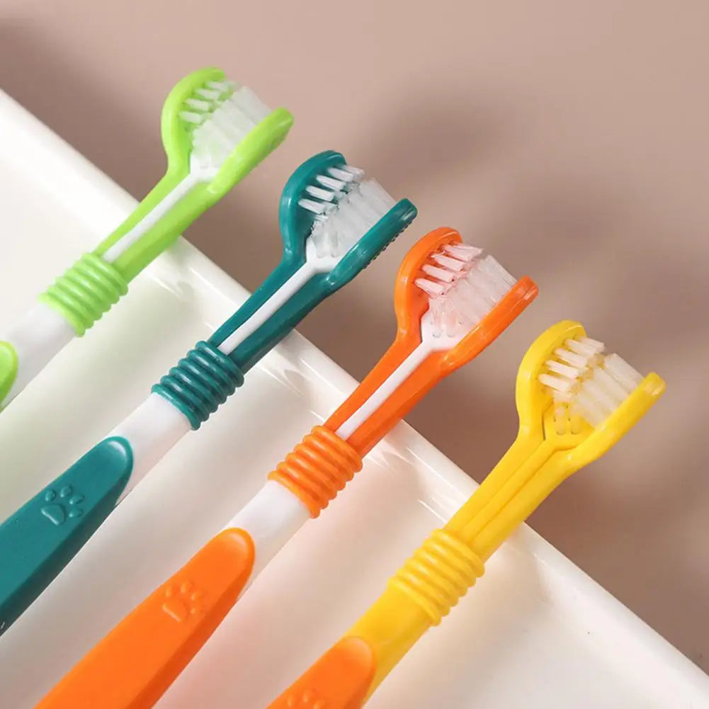 Brosse à dents pour animaux de compagnie