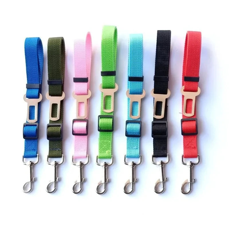 Ceinture de sécurité pour animaux de compagnie