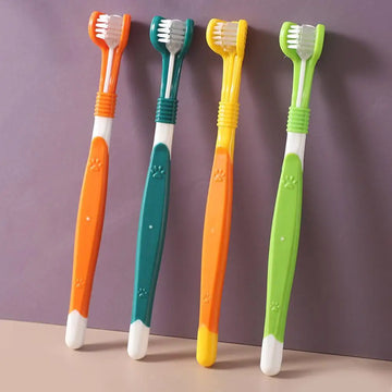 Brosse à dents pour animaux de compagnie