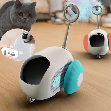 Jouet intelligent pour chat