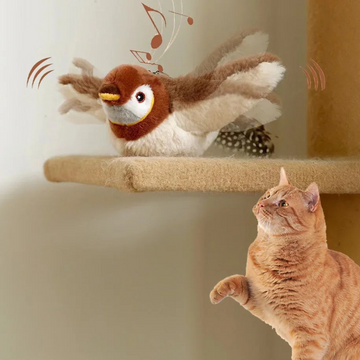 Jouets pour chat rechargeables